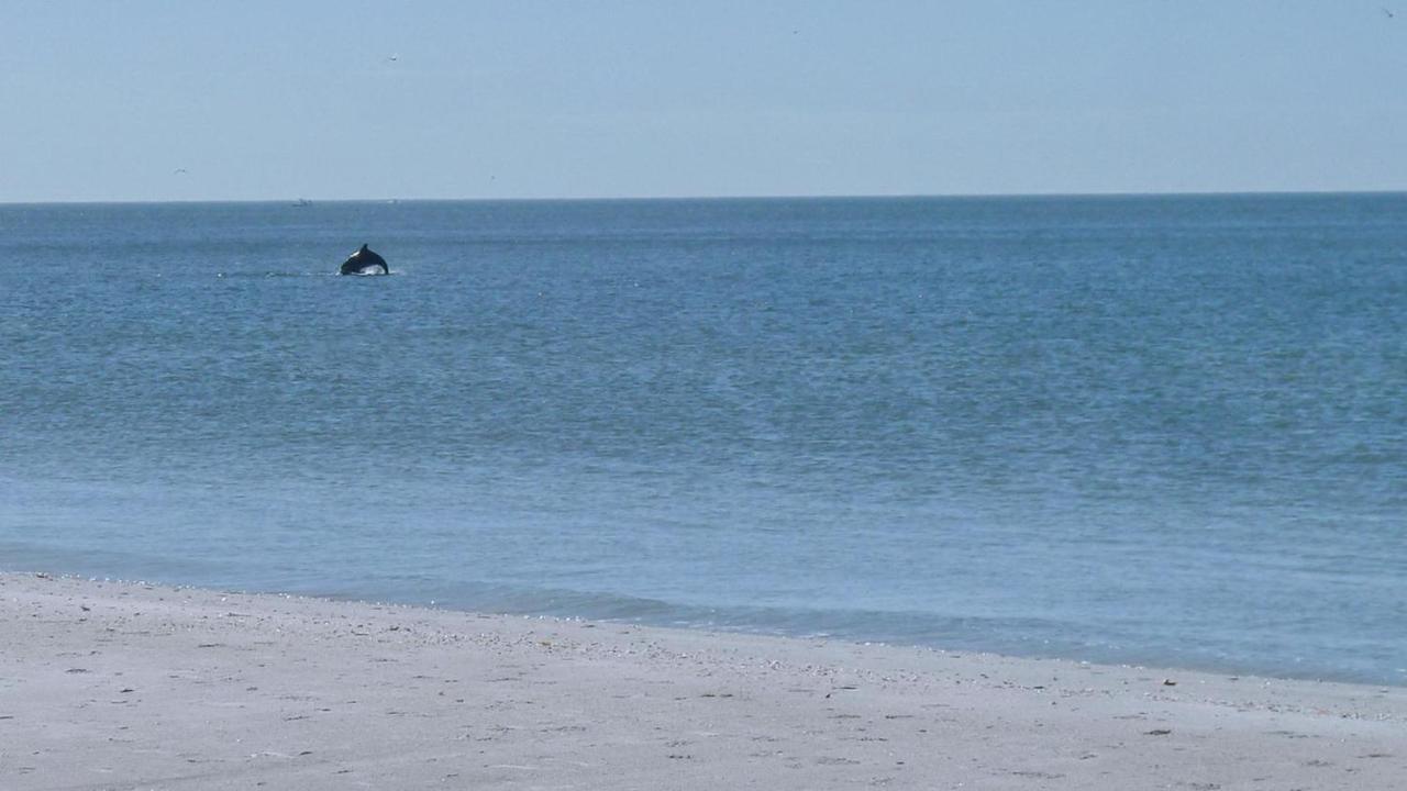 Sunset Beach House 3Br Βίλα St. Pete Beach Εξωτερικό φωτογραφία